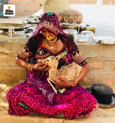 indian women breastfeeding deer|Bishnoi mother breastfeeds baby deer, internet full of praise for .